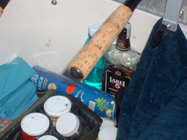 delta rosu 2010 - sany0739.JPG